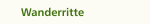 Wanderritte
