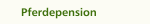 Pferdepension